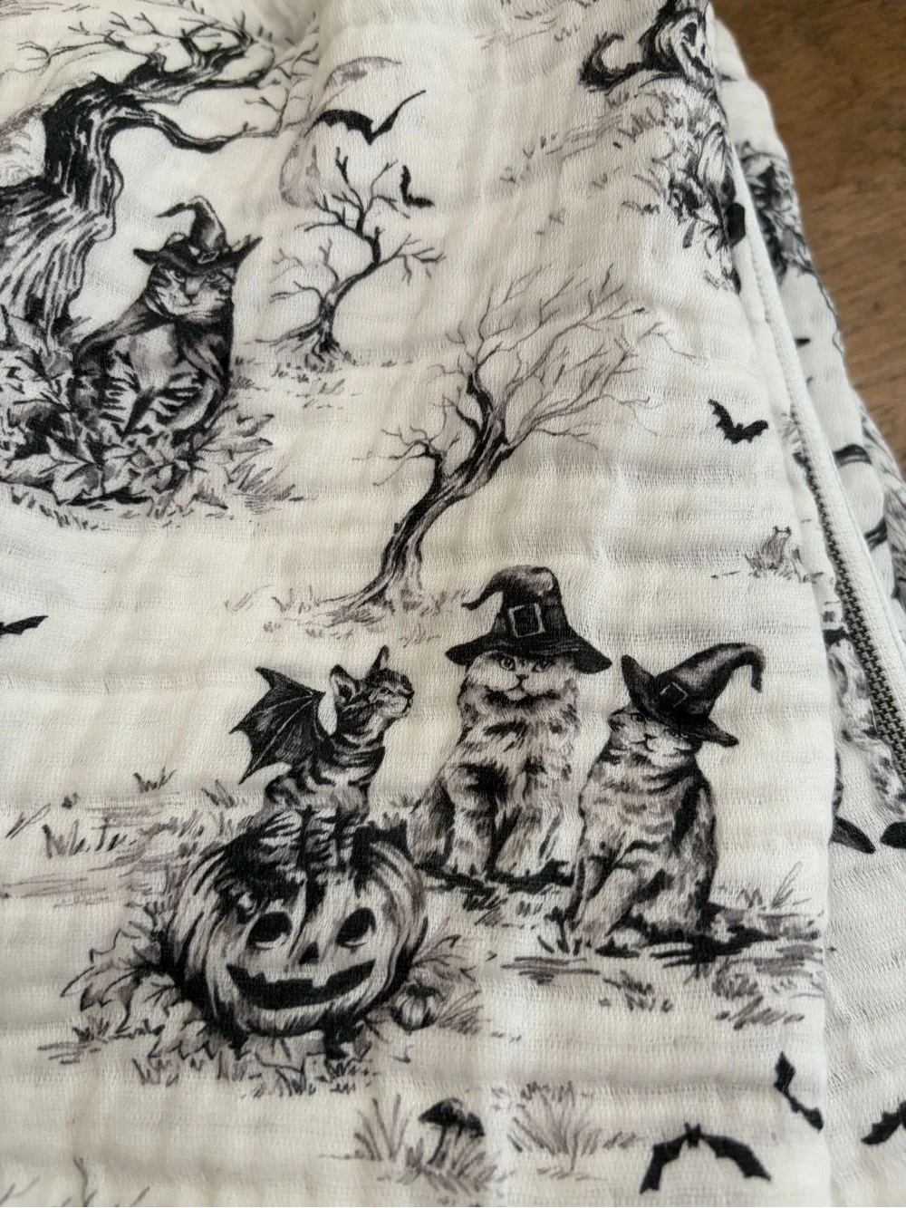 Kitty Cat Halloween towels Cats in costumes (3)